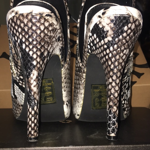 Beau + Ashe - Picture 3 of 11